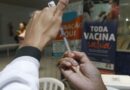 Anvisa atualiza composição de vacinas contra gripe para 2025