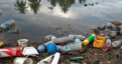 Brasil lança por ano 1,3 milhão de toneladas de plástico no oceano