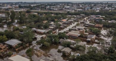 CMN autoriza renegociação de crédito rural no Rio Grande do Sul