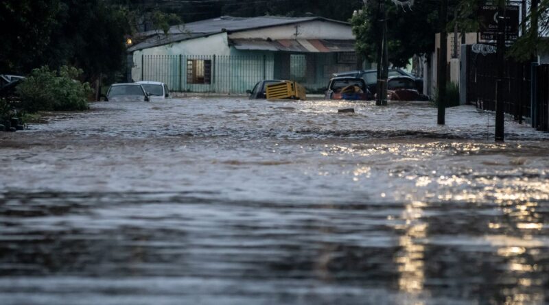 Financiamento climático deve pautar COP29 no Arzebaijão