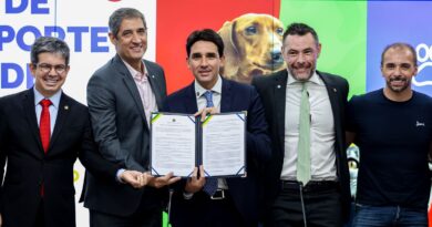 Governo anuncia novas regras para transporte aéreo de pets