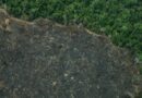 Greenpeace: imagens mostram novas áreas de garimpo em TIs na Amazônia