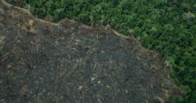 Greenpeace: imagens mostram novas áreas de garimpo em TIs na Amazônia