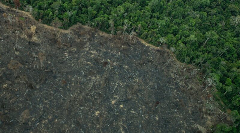 Greenpeace: imagens mostram novas áreas de garimpo em TIs na Amazônia