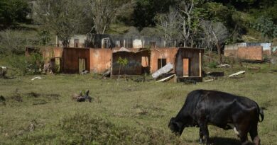 Julgamento de tragédia em Mariana começa nesta segunda no Reino Unido