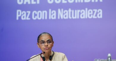 Na COP16, Marina Silva defende fundo para remunerar povos tradicionais