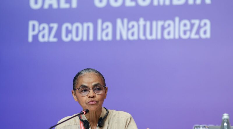 Na COP16, Marina Silva defende fundo para remunerar povos tradicionais