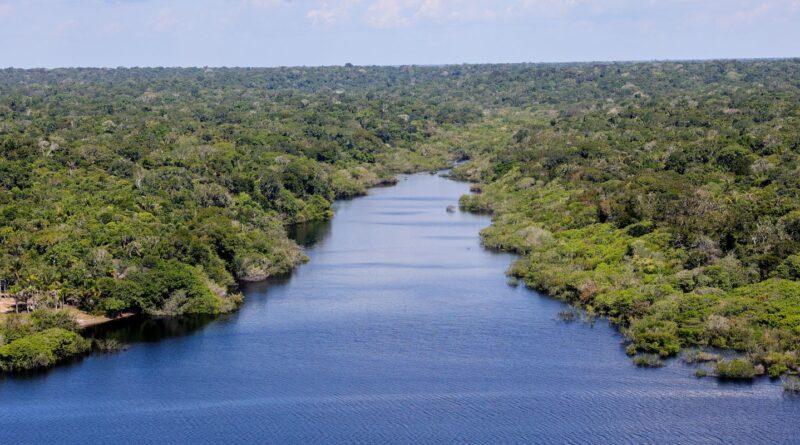 Organizações reivindicam participação nas tomadas de decisão da COP16