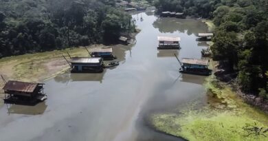 Rios na Amazônia tem risco muito alto de contaminação por mercúrio