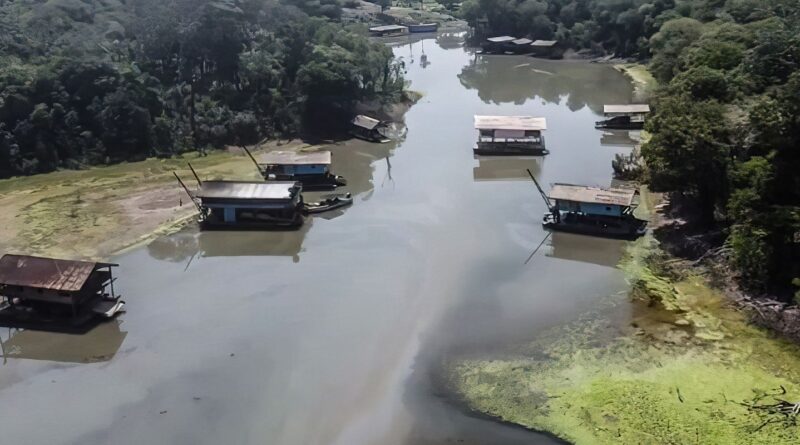 Rios na Amazônia tem risco muito alto de contaminação por mercúrio