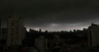 Temporal em SP derruba árvores e deixa moradores sem luz