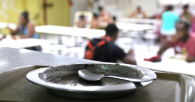 Aliança contra Fome: participação social e efeito perene são desafios