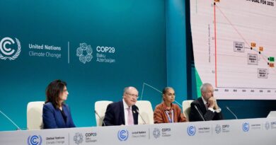 Brasil é segundo país a entregar meta de emissões na COP29