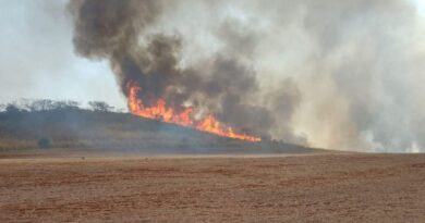 Brasileiros acham que economia pode ser devastada por eventos do clima