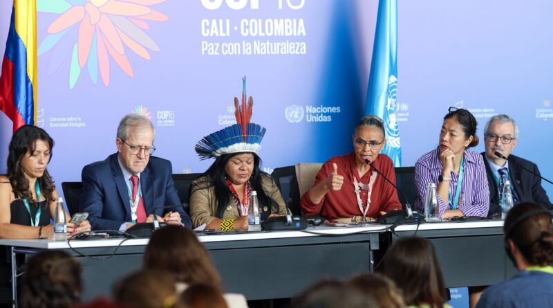 COP16 cria órgão para atender povos indígenas e quilombolas