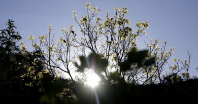 Começa hoje Semana Nacional de Ciência e Tecnologia