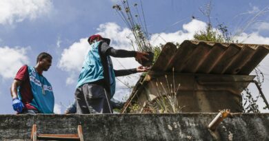 DF promove dia de combate à dengue para eliminar focos do Aedes aegypt