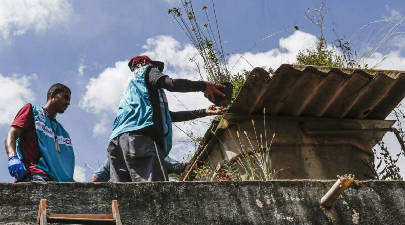 DF promove dia de combate à dengue para eliminar focos do Aedes aegypt