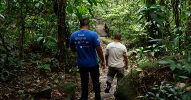 Educação ambiental busca aproximar a população da Mata Atlântica