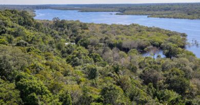 G9: indígenas defendem demarcação para reduzir danos climáticos