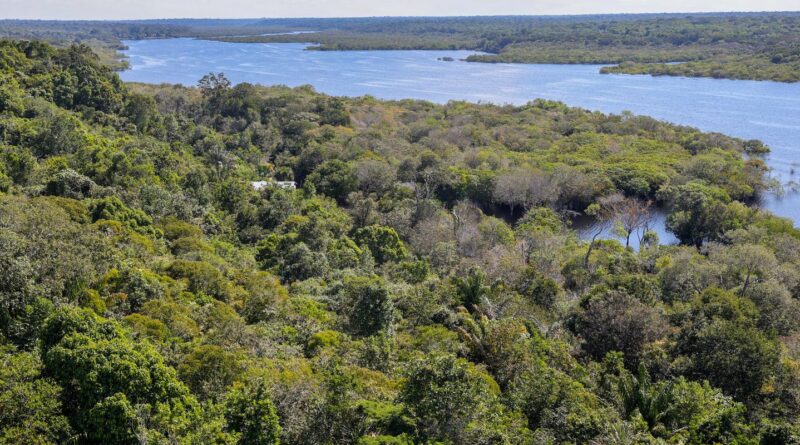 G9: indígenas defendem demarcação para reduzir danos climáticos