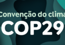 Jovens do Sul Global ganham voz ao terem delegação na COP 29