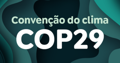 Jovens do Sul Global ganham voz ao terem delegação na COP 29