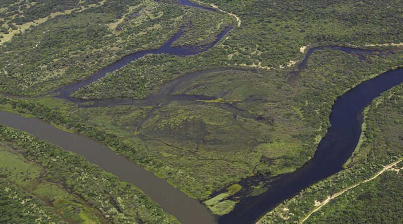 Maior parte da Mata Atlântica tem menos de 30% de vegetação nativa