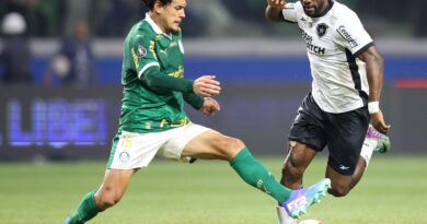 Palmeiras e Botafogo jogam por liderança do Campeonato Brasileiro