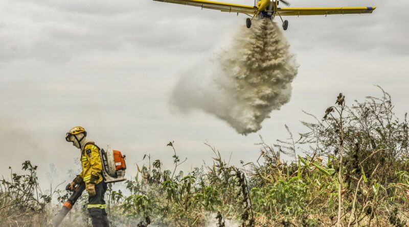 Pantanal: redução da área alagada tem favorecido aumento de incêndios