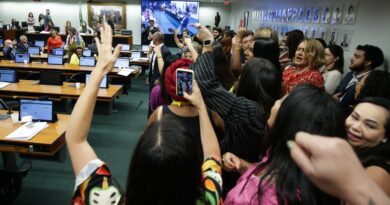 Sob protestos, CCJ da Câmara aprova PEC que proíbe aborto legal