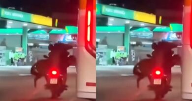 Vídeo mostra cavalo sendo transportado em moto na Baixada Fluminense