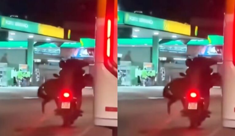 Vídeo mostra cavalo sendo transportado em moto na Baixada Fluminense