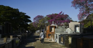 Audiência no STF discute preços cobrados em cemitérios de São Paulo