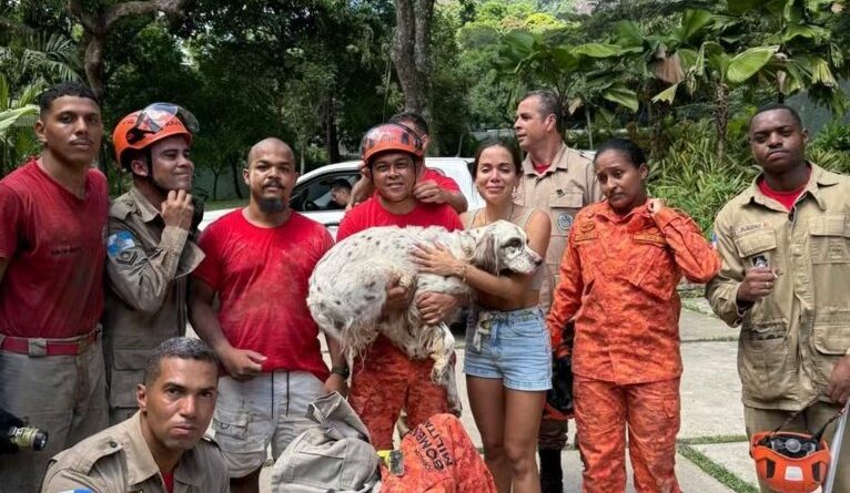 Bombeiros resgatam cachorro da cantora Anitta no Rio de Janeiro