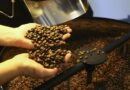 Brasil exporta 46 milhões de sacas de café, atingindo recorde em 2024