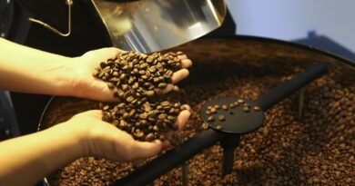 Brasil exporta 46 milhões de sacas de café, atingindo recorde em 2024