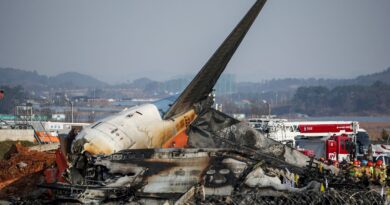 Brasil se solidariza com vítimas de acidente aéreo na Coreia do Sul