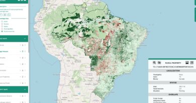 Brasil tem 95 milhões de hectares a espera de ações de restauração