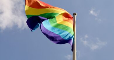 Em 2024, 60% dos projetos de lei sobre LGBT eram a favor da comunidade
