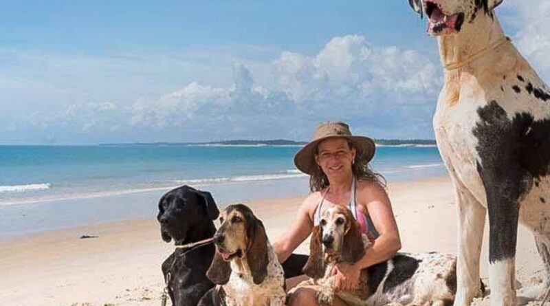 Férias chegam e trazem um dilema: viajar ou não com os pets?