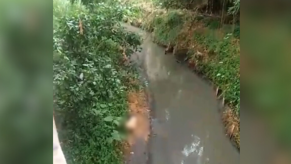 Homem é encontrado morto dentro de córrego em São Gabriel da Palha; saiba quem era a vítima