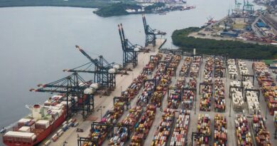 Participação da China nas exportações brasileiras diminuiu este ano