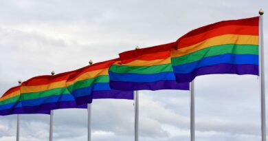 Serviço público uniformiza coleta de dados da população LGBTQIA+