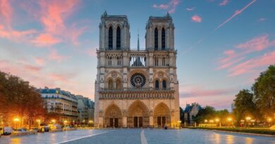 TV Cultura exibe cerimônia de reabertura da catedral de Notre-Dame na terça (31)