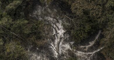 AGU cobra R$ 725 milhões de acusados por danos ambientais no Pantanal
