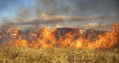 Bombeiros lutam contra novos focos de incêndio em Los Angeles nesta quinta-feira (23)