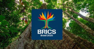 Brics têm mais de 40% da população e 37% do PIB mundiais