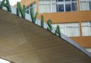 CFM pede à Anvisa banimento do uso de PMMA para preenchimento estético