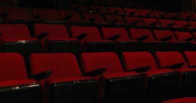 Cinema brasileiro bate recorde de salas em 2024, aponta Ancine